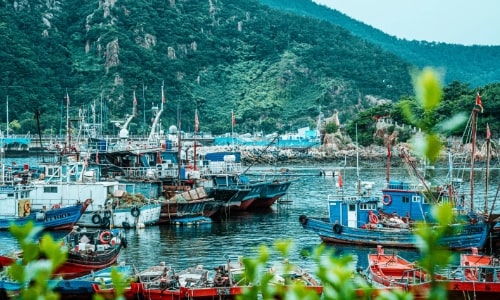 Fisherman's Wharf-dalian